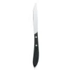 Walco 870527 Pointed Tip Steak Knife With Plastic Handle - Dozen