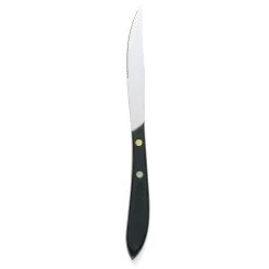 Walco 870527 Pointed Tip Steak Knife With Plastic Handle - Dozen