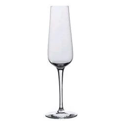 Rona 4813R284 Invitation 6 Oz Champagne Glass - 24 / CS